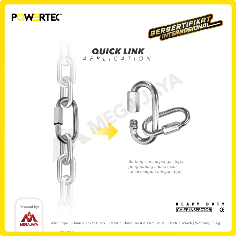 Quick Link / Mailon Rapide SS 4mm Screw Lock Climbing Gear POWERTEC