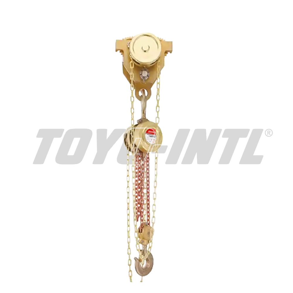 Explosion Proof Chain Block Toyo 5 T x 3 M