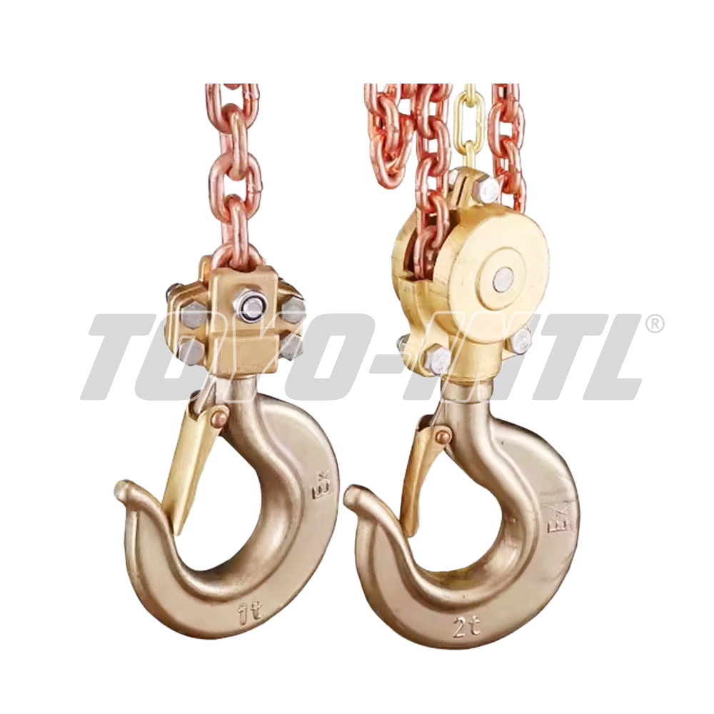 Explosion Proof Chain Block Toyo 2 T x 3 M