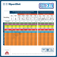 Round Sling / Roundsling 6 Ton x 4 Meter SPANSET