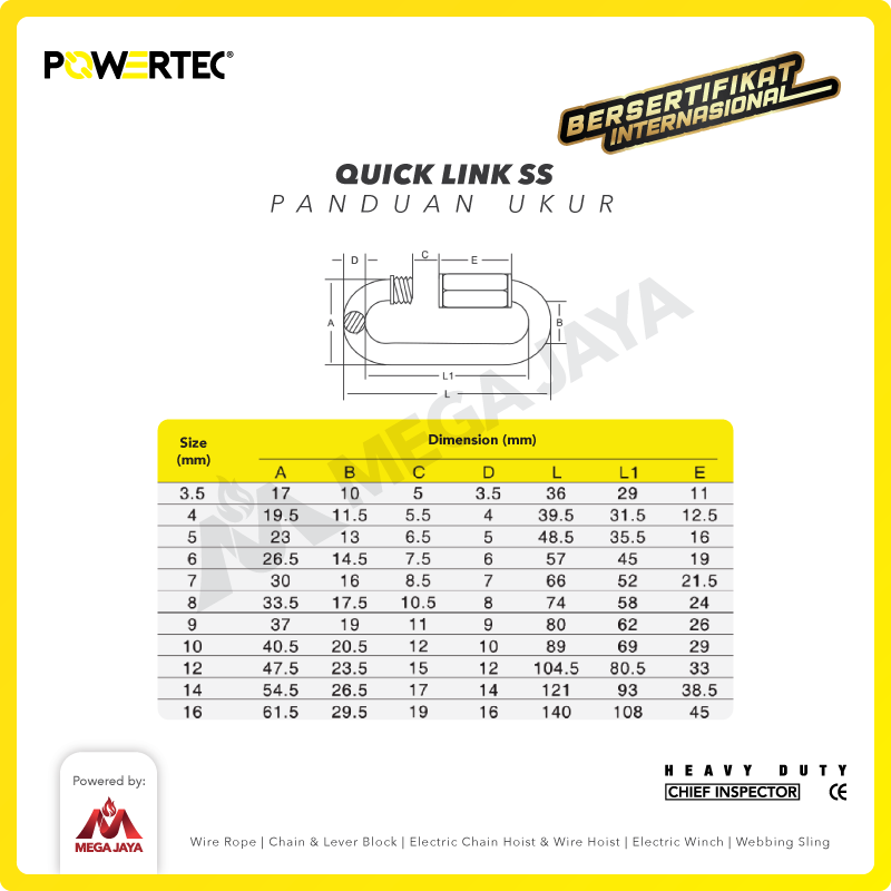 Quick Link / Mailon Rapide SS 10mm Screw Lock Climbing Gear POWERTEC