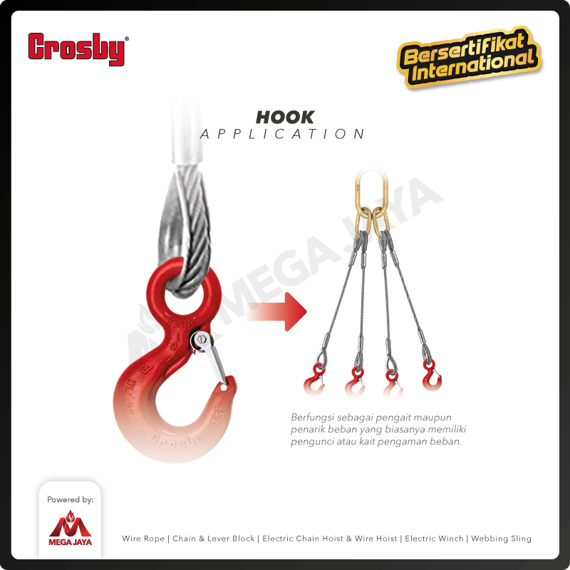 Eye Hoist Hook S320 AN 2 Ton CROSBY